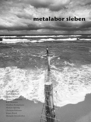 cover image of metalabor sieben